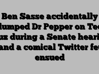Ben Sasse accidentally dumped Dr Pepper on Ted Cruz during a Senate hearing — and a comical Twitter feud ensued