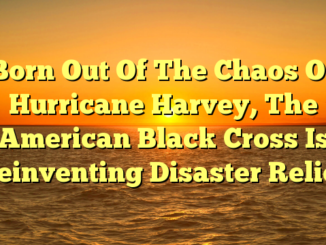 Born Out Of The Chaos Of Hurricane Harvey, The American Black Cross Is Reinventing Disaster Relief