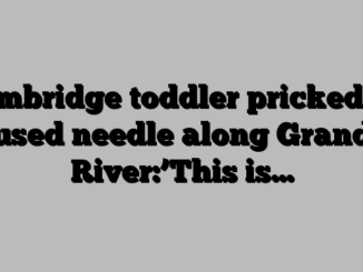 Cambridge toddler pricked by used needle along Grand River:’This is…