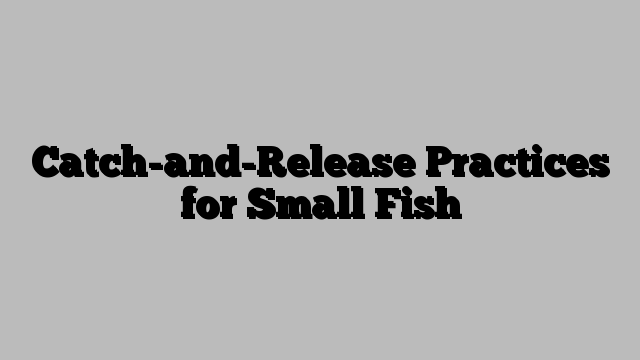 Catch-and-Release Practices for Small Fish