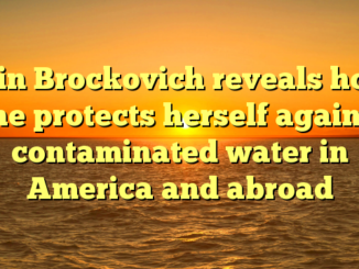Erin Brockovich reveals how she protects herself against contaminated water in America and abroad
