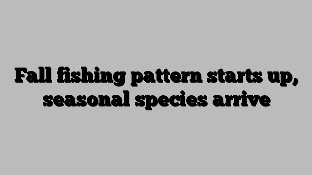 Fall fishing pattern starts up, seasonal species arrive
