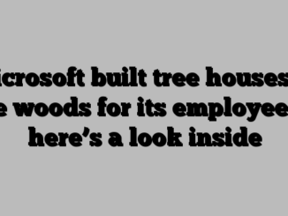 Microsoft built tree houses in the woods for its employees — here’s a look inside