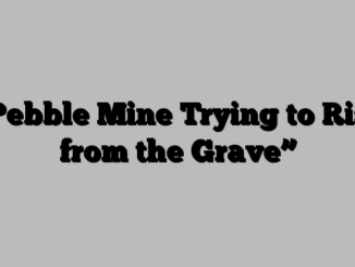 “Pebble Mine Trying to Rise from the Grave”