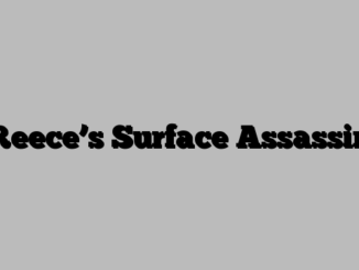 Reece’s Surface Assassin