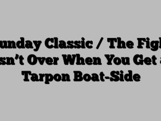 Sunday Classic / The Fight Isn’t Over When You Get a Tarpon Boat-Side