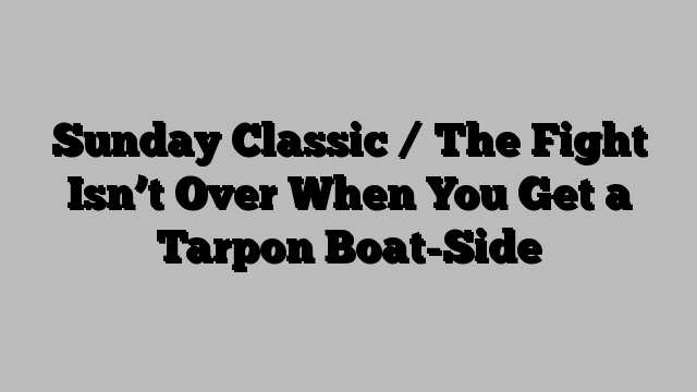 Sunday Classic / The Fight Isn’t Over When You Get a Tarpon Boat-Side