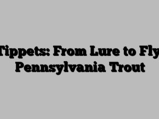 Tippets: From Lure to Fly, Pennsylvania Trout