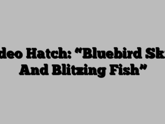 Video Hatch: “Bluebird Skies And Blitzing Fish”