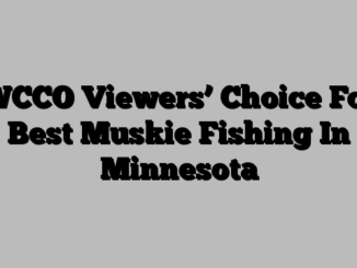 WCCO Viewers’ Choice For Best Muskie Fishing In Minnesota
