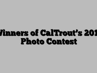 Winners of CalTrout’s 2017 Photo Contest