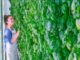 An ex-Tesla executive is teaming up with a little-known vertical farming startup
