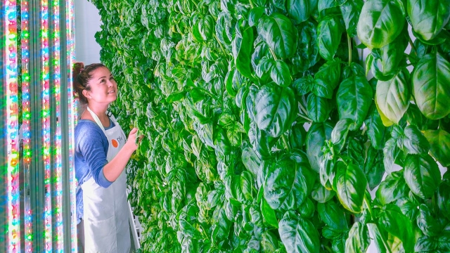 An ex-Tesla executive is teaming up with a little-known vertical farming startup