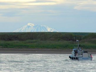 EPA begins processing over 839,000 comments on Bristol Bay