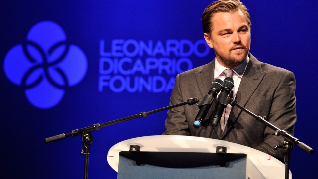 Leonardo DiCaprio just invested in the Bill Gates-backed veggie burger that ‘bleeds’ like beef — here’s how it tastes