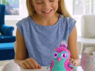 The childhood friends who created the Hatchimals toys that ruled last year are now billionaires