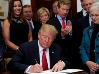 Trump celebrates healthcare stocks tanking after executive order ending key Obamacare subsidies