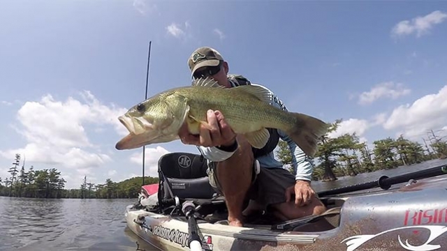 Video: Chasing Bass and Gar Among the Cypress Trees