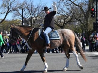 Will the real Ryan Zinke please ride up?