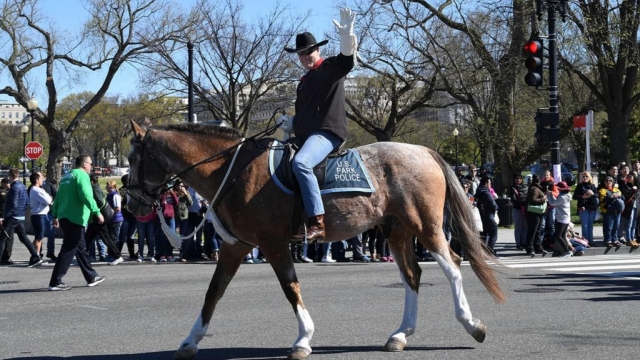 Will the real Ryan Zinke please ride up?