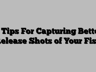 4 Tips For Capturing Better Release Shots of Your Fish