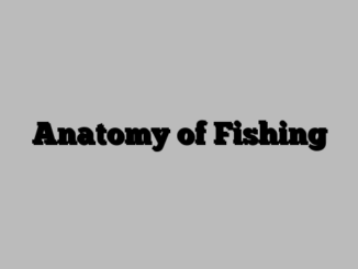 Anatomy of Fishing