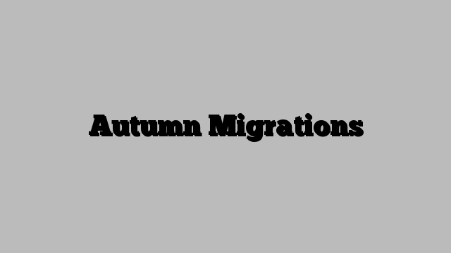 Autumn Migrations