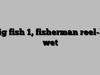 Big fish 1, fisherman reel-ly wet