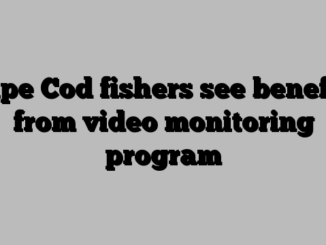 Cape Cod fishers see benefits from video monitoring program