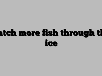 Catch more fish through the ice