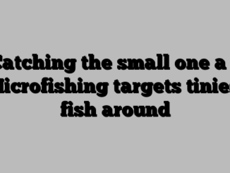 Catching the small one a ” Microfishing targets tiniest fish around