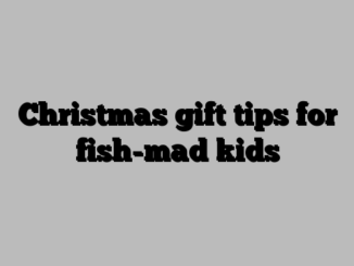 Christmas gift tips for fish-mad kids