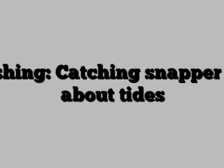 Fishing: Catching snapper all about tides