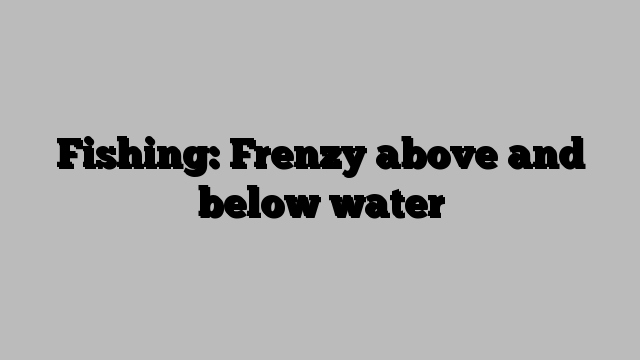 Fishing: Frenzy above and below water