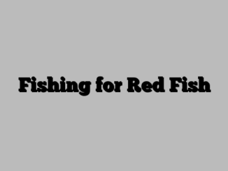 Fishing for Red Fish