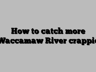 How to catch more Waccamaw River crappie