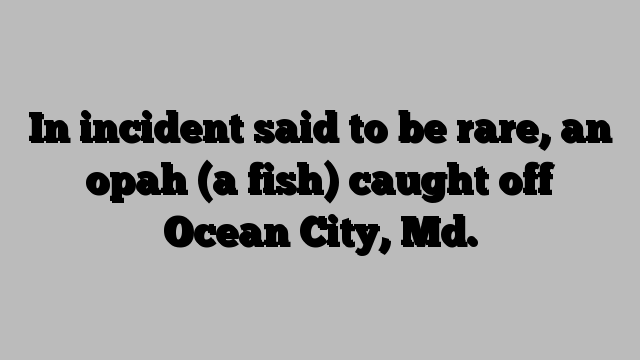 In incident said to be rare, an opah (a fish) caught off Ocean City, Md.