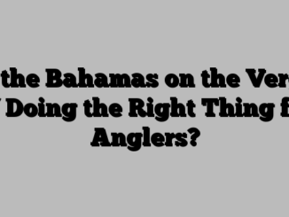 Is the Bahamas on the Verge of Doing the Right Thing for Anglers?