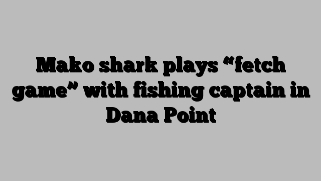 Mako shark plays “fetch game” with fishing captain in Dana Point