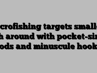 Microfishing targets smallest fish around with pocket-sized rods and minuscule hooks