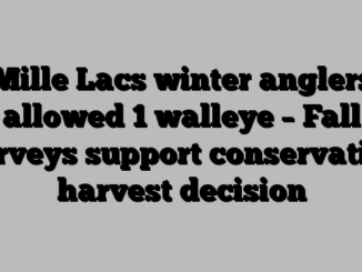 Mille Lacs winter anglers allowed 1 walleye – Fall surveys support conservative harvest decision