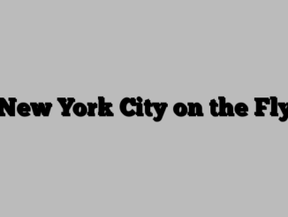 New York City on the Fly