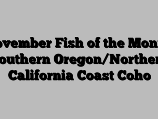 November Fish of the Month: Southern Oregon/Northern California Coast Coho