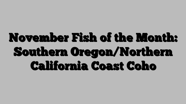 November Fish of the Month: Southern Oregon/Northern California Coast Coho