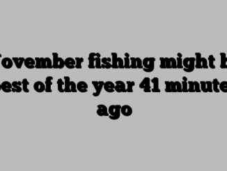 November fishing might be best of the year 41 minutes ago