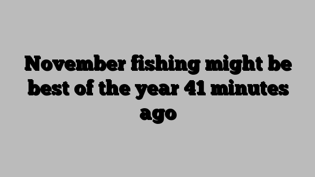 November fishing might be best of the year 41 minutes ago