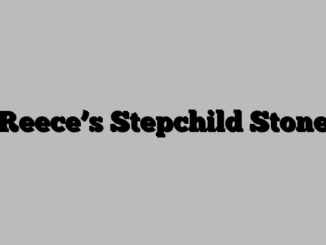 Reece’s Stepchild Stone