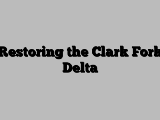 Restoring the Clark Fork Delta