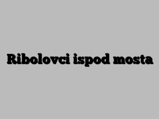 Ribolovci ispod mosta