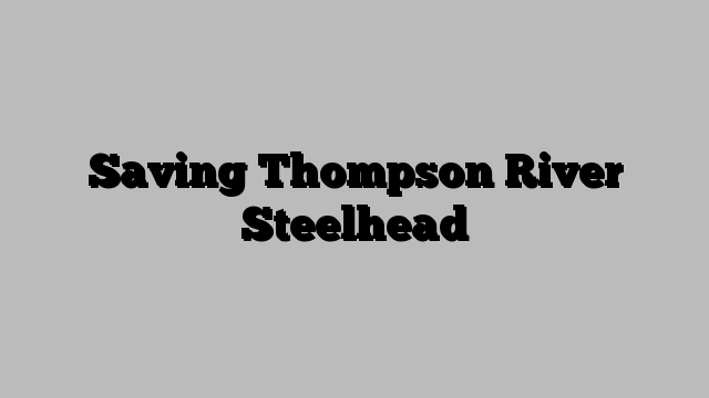 Saving Thompson River Steelhead